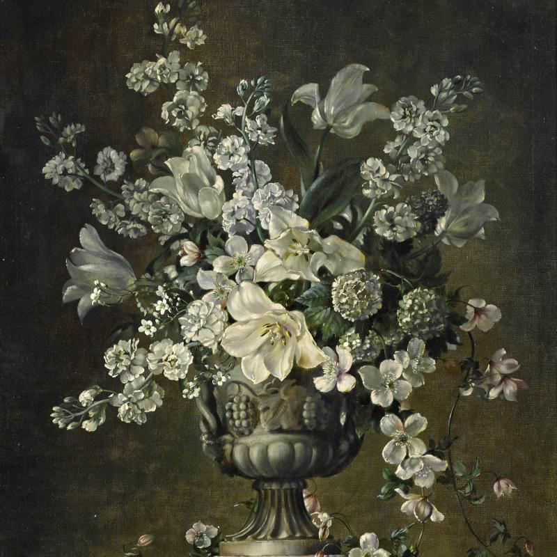 OSPF特殊区域实验