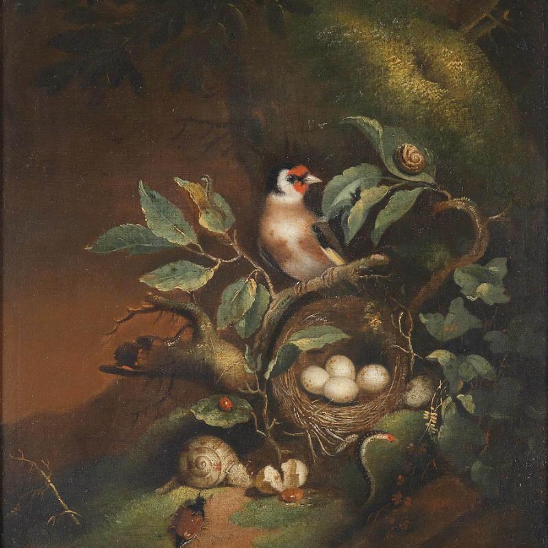 Fashion-MNIST 深度学习实验报告