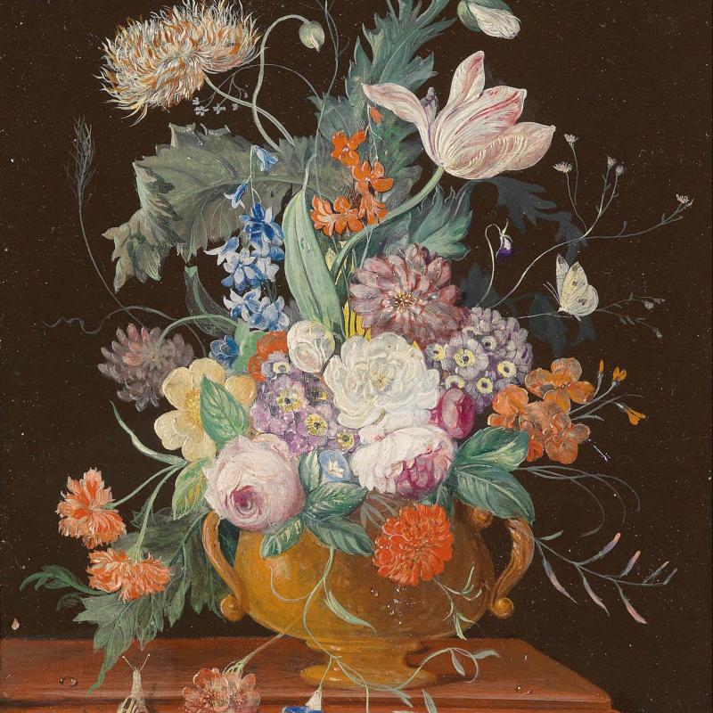 Yolo环境配置教程